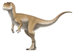 Allosaurus Juvenile Reconstruction 1